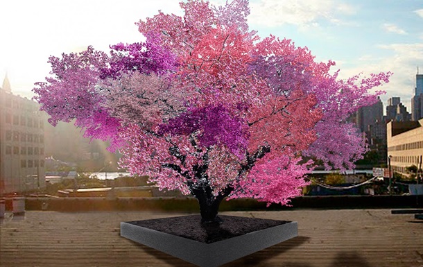 Американець створив дерево, що дає сорок видів фруктів