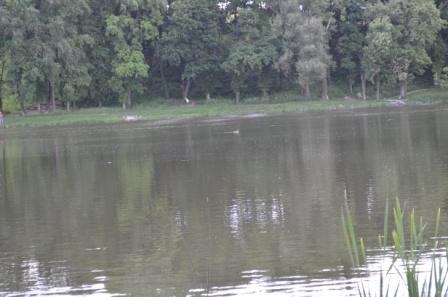 Серед одинадцяти безпечних для купання водойм на Львівщині  є наш міський с ...