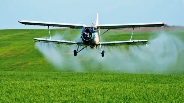 Товариство з обмеженою відповідальністю «Княжі Лани» повідомляє громадян про проведення авіаційного обробітку кукурудзи