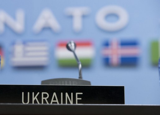 Україна може звернутися за військовою допомогою до окремих країн НАТО, але  ...